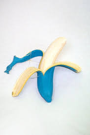Beautravailaime Banana Art Still Life Photography Photo Art