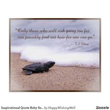 Inspirational Quote Baby Sea Turtle Sand Ocean Poster Zazzle Com In 2020 Turtle Quotes Baby Sea Turtle Sea Turtle