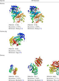 Bernstein et al., 1977) in 1971 as. 3d Structure Of 11b Hsd1 According To Protein Data Bank Pdb Code And Download Table