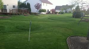 There is much more to just building a putting green, planting grass and purchasing a reel mower. Backyard Ideas Backyard Golf Course