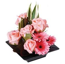 Consegna a domicilio in 2 ore. Fiori Compleanno Efiorista Online In Italia Ti Aiuta A Consegnare O Regalare Fiori E Piante Per Il Compleanno