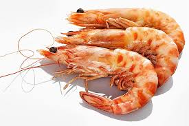Maybe you would like to learn more about one of these? Gambero Argentino Pesce In Cucina