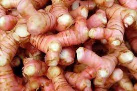 We did not find results for: 5 Manfaat Laos Untuk Kesehatan Gak Cuma Berguna Di Makanan