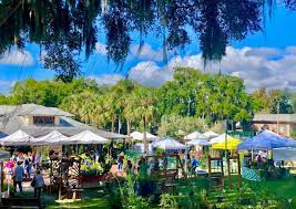 Mount Dora Plant Garden Fair Takes Root On Nov 14 15 Mount Dora Buzz