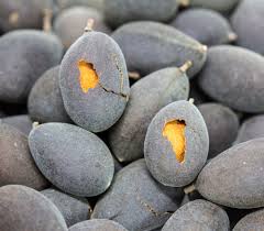 Image result for Dialium guineense