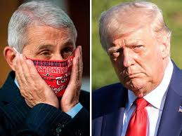 Biden's lead hits double digits