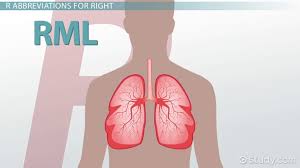 Common Medical Abbreviations P R