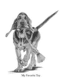 Pin On Bloodhounds