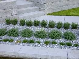 Ich habe gerade einen interessanten beitrag über geschotterten gärten gesehen. Garten Des Grauens Karin Greiner Pflanzenlust