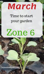 Having a garden around your home is not something that should be debated. Allpin Info When To Plant Vegetables Gardening Zones Vegetable Planting Guide