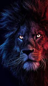 Iphone Wallpapers Wallpapers For Iphone 12 Iphone 11 And Iphone X Iphone Wallpapers Lion Wallpaper Iphone Lion Images Lion Wallpaper