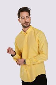 Stok Kodu Gmk 3007 Ferraro Erkek Duz Desenli Yaka Kol Detayli Gomlek Renk Secenkleri Sari Yesil Koyu Bej Gomlek Stil Sahibi Erkekler Erkek Giyim