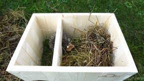 Genießt den winter, den schnee; Wie Sie Dem Igel Ein Gutes Winterhaus Oder Winternest Basteln Konnen