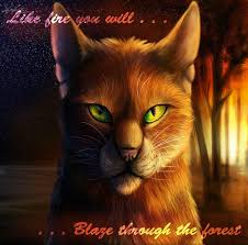 We have 56+ amazing background what is a desktop wallpaper? Warrior Cats Firestar Wallpapers Desktop Wallpaper Cave