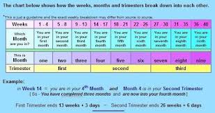 How To Calculate Pregnancy Weeks And Months Accurately