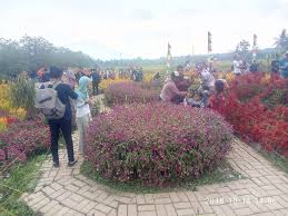 Taman bunga nusantara, harga tiket masuk dan review lengkap. Bpd Sukaraja Taman Bunga Pandeglang Bisa Menjadi Referensi Bumdes Sukaraja