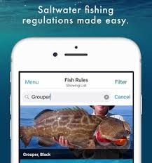 In addition, lawmakers took the opportunity to increase saltwater license fees that will go. Fwc S Fishing In The Know June 2021