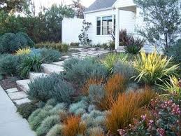 English Garden California Style Front Yard Traditional Landscape Los Angele California Landscaping Drought Resistant Landscaping Traditional Landscape