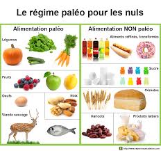 Pin Op Les Bases Du Regime Paleo