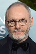 Liam Cunningham as Davos Seaworth