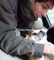 I GOT TICKETS TO THEIR TOUR (im going to the tampa show) #sturniolotriplets  #sturniolos #sturniolotripletsclips #carvideos #fyp #viralvideo  #letstriptour #theversustour #sturniolotripletsfandom ...