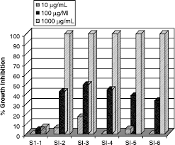 Image result for Indigofera daleoides