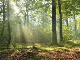 Ergebnisse für vr bank in biessenhofen; Alle Vr Bank Filialen In Kaufbeuren Und Umgebung Telefon Preise Vergleichen