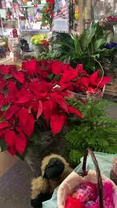 Rion flowers is locally owned and operated. Rion Flowers Coffee And Gifts Home Facebook