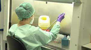 Un nouveau variant, dit colombien, est à l'origine de l'infection qui a causé la mort des sept personnes pourtant entièrement vaccinées. Covid 19 Le Variant Colombien Pas Encore Detecte En Region Bruxelloise Bx1