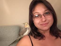 Pet Training in Alamo Ranch Parkway, Far West Side