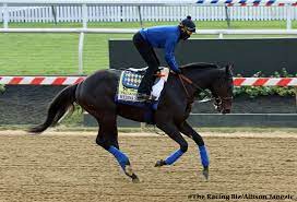 Check spelling or type a new query. Latest Preakness Odds The Racing Biz