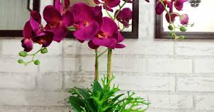 Tutorial cara gubahan bunga orkid yang simple.diolahkan dengan cara kami. Gubahan Sepasu Bunga Orkid