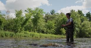 The Remedy Mental Health