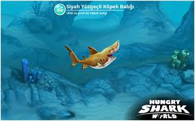 Sizcede Korkunc Degilmi Balik Siyah