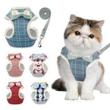 Best Cat Harness And Lead Kitten Harness Leash Harness Uk In 2020 Puppy Harness Cat Harness Cat Collars