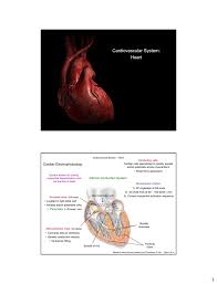 Introduction anatomical position and terms of the human bodyis either studied by regions or by organs syst. Cardiovascular System Anatomy And Physiology Anatomy Drawing Diagram