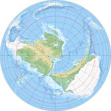 Image result for Physotrichia