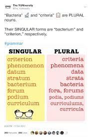 Bacteria And Criteria Are Plural Nouns Their Singular Forms Are Bacterium And Criterion Respectively Grammar Bacteria Nouns Grammar Tips Plurals