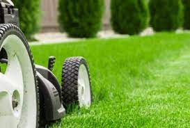 We can make it green and clean. Lawn Care Dallas Tx Landscaping Lawn Mowing Edging