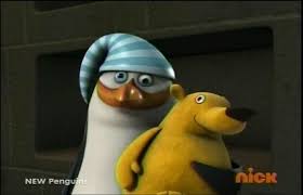 Pinguinos De Madagascar Temporada 1 Capitulo 1 😁😁😁 | By Predicas |  Kowalsky, Rich . Skipper. Handsome And Chubby Boys. Penguins Of Madagascar  Photo Shoot. In Addition, The Habitat Owners Association Asks