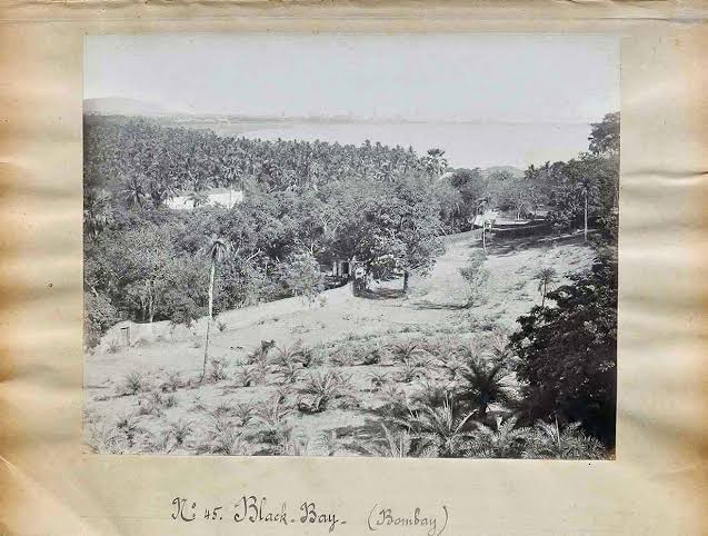 View of Back Bay From Malabar Hill Bombay, 1879 Photo - Past-India