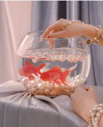 Image About Animals In Bitter Sweet Club By Orchard In 2020 Aesthetic Art Aesthetic Photography Aesthetic Pictures