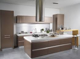 Mutfak Dolabi Tasariminda Vizon Rengi Nasil Kullanilir Cagdas Mutfak Modern Mutfak Tasarimi Modern Mutfaklar