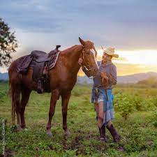 Woman blows horse