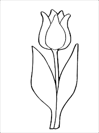 5 out of 5 stars. Tulip Coloring Pages Ready For Download Or Print Description From Tulip Drawing Tulips Tulip Colors