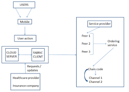 Electronic Health Record Ehr Systems With Public