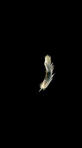 Iphone 6 Wallpaper Bing Images Black Wallpaper Black Background Wallpaper Black Hd Wallpaper