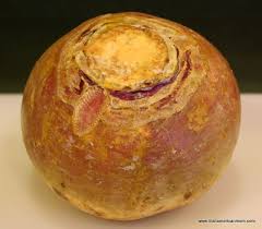 How To Cook Rutabaga Or Turnip Irish Style Irish American Mom Recipe How To Cook Rutabaga Rutabaga Recipes Turnip Recipes