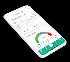 Its founder tells susannah butter how it works. Daylio Journal Diary And Mood Tracker