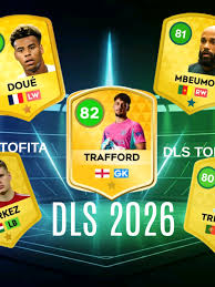 Image result for DLS 80